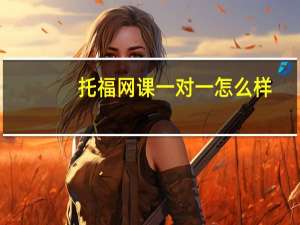 托福网课一对一怎么样