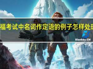 托福考试中名词作定语的例子怎样处理与对待