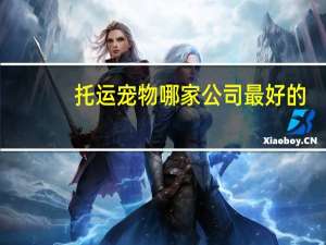 托运宠物哪家公司最好的