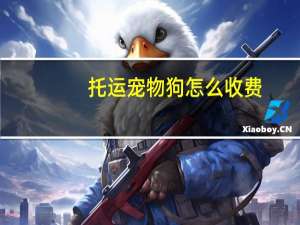 托运宠物狗怎么收费