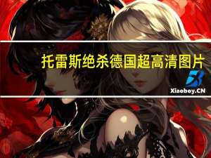 托雷斯绝杀德国超高清图片（托雷斯绝杀德国）