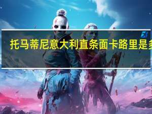 托马蒂尼 意大利直条面卡路里是多少