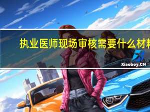 执业医师现场审核需要什么材料
