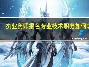 执业药师报名专业技术职务如何填写