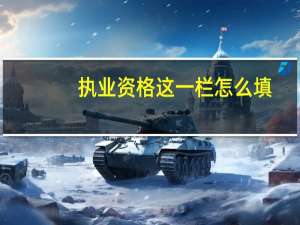 执业资格这一栏怎么填