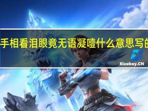执手相看泪眼竟无语凝噎什么意思写的朋友么