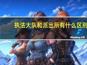 执法大队和派出所有什么区别
