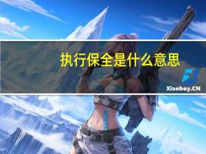 执行保全是什么意思