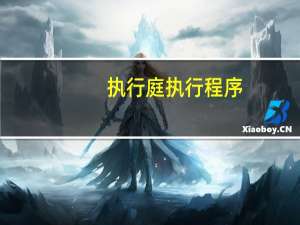 执行庭执行程序
