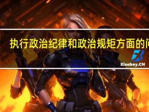 执行政治纪律和政治规矩方面的问题（政治纪律和政治规矩方面的问题）