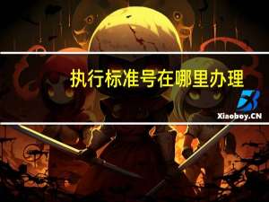 执行标准号在哪里办理