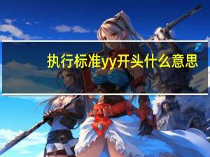 执行标准yy开头什么意思
