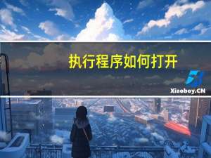 执行程序如何打开
