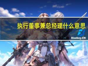 执行董事兼总经理什么意思