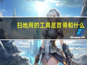 扫地用的工具是笤帚和什么（扫地用的工具叫什么）