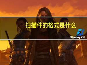 扫描件的格式是什么