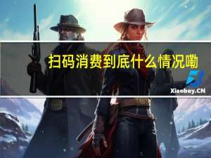 扫码消费 到底什么情况嘞