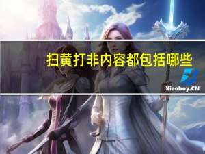 扫黄打非内容都包括哪些（扫黄打非内容）