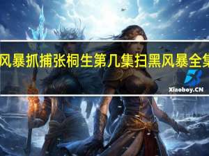 扫黑风暴抓捕张桐生第几集 扫黑风暴全集资源28集