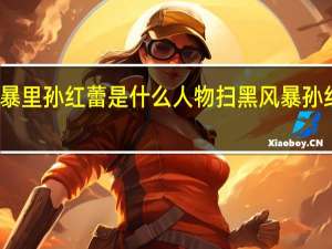 扫黑风暴里孙红蕾是什么人物 扫黑风暴孙红雷是卧底吗