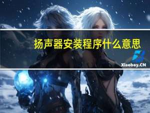 扬声器安装程序什么意思（扬声器安装程序）