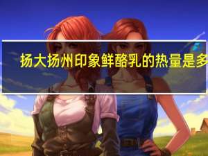 扬大 扬州印象鲜酪乳的热量是多少