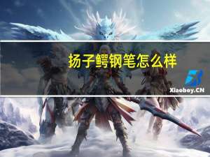 扬子鳄钢笔怎么样