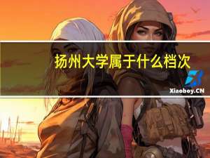 扬州大学属于什么档次