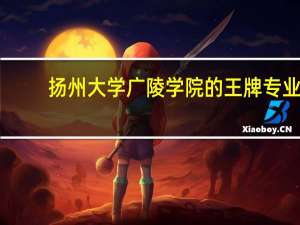 扬州大学广陵学院的王牌专业