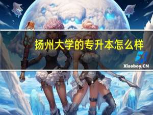 扬州大学的专升本怎么样