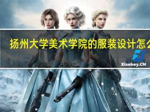 扬州大学美术学院的服装设计怎么样