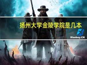 扬州大学金陵学院是几本