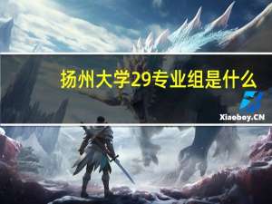 扬州大学29专业组是什么