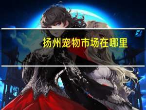 扬州宠物市场在哪里