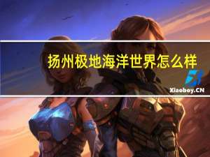 扬州极地海洋世界怎么样