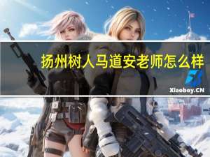 扬州树人马道安老师怎么样