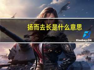 扬而去长是什么意思