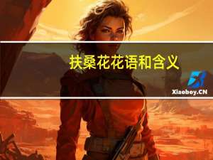 扶桑花花语和含义