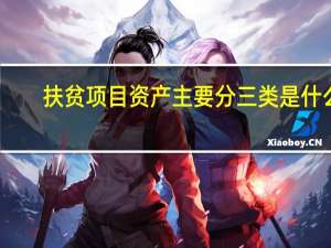 扶贫项目资产主要分三类是什么（扶贫项目）