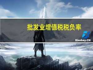 批发业增值税税负率