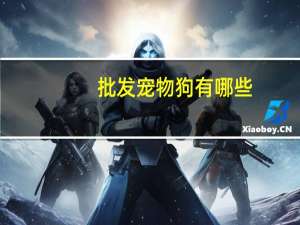 批发宠物狗有哪些