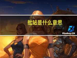 批站是什么意思