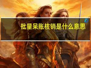 批量呆账核销是什么意思