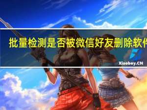 批量检测是否被微信好友删除软件 V1.0 电脑版（批量检测是否被微信好友删除软件 V1.0 电脑版功能简介）