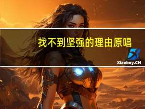 找不到坚强的理由原唱（找不到坚强的理由）