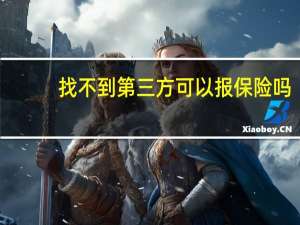 找不到第三方可以报保险吗