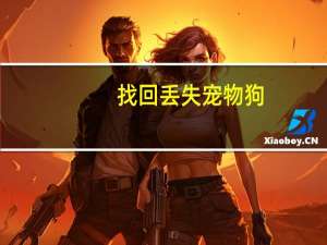 找回丢失宠物狗