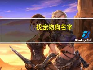 找宠物狗名字