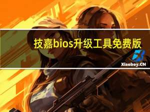 技嘉bios升级工具 免费版（技嘉bios升级工具 免费版功能简介）