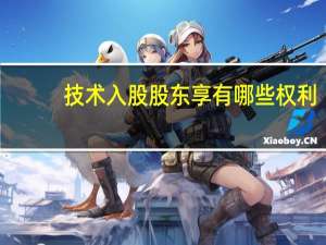 技术入股股东享有哪些权利